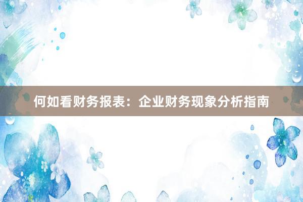 何如看财务报表：企业财务现象分析指南